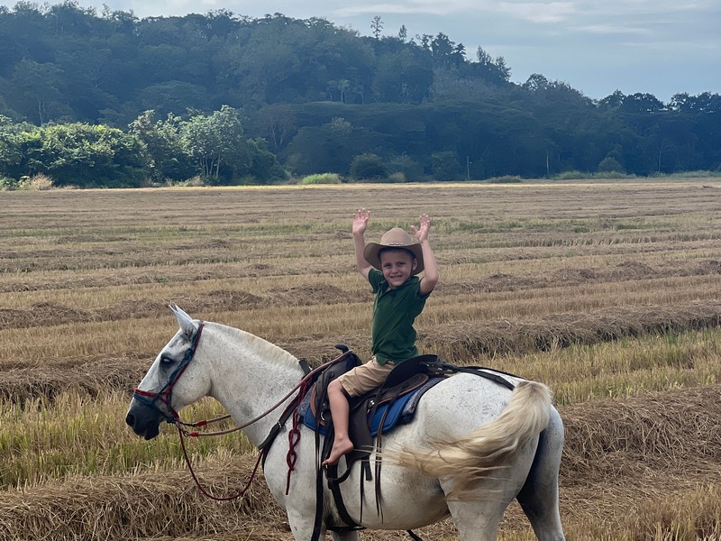 River Serenity Horseback Riding Jaco Tour